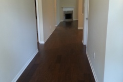 Whole Home Painting