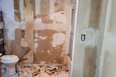 Wallpaper Stripping Before